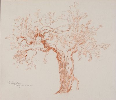 Fiesole da George Elbert Burr
