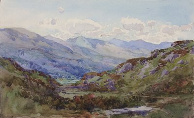 Da sopra Pont-y-Pant, 1899 da George Elbert Burr