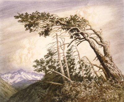Casa dei Venti [No. 2] da George Elbert Burr