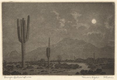 Luce della luna-Fenice da George Elbert Burr