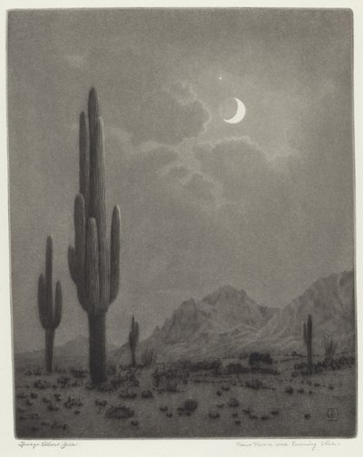 Luna nuova e stella della sera da George Elbert Burr
