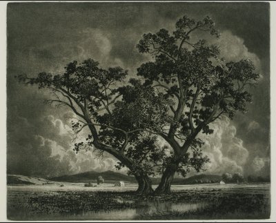 Old Cottonwoods, Colorado da George Elbert Burr