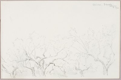 Olive--Fiesole da George Elbert Burr