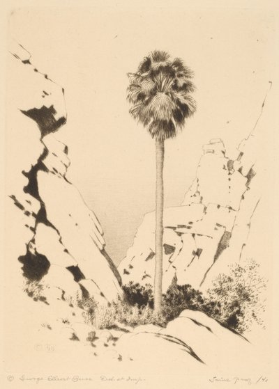 Canyon delle palme (n.1) da George Elbert Burr
