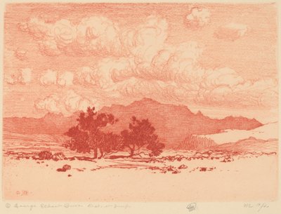 Alberi di Palo Verde da George Elbert Burr