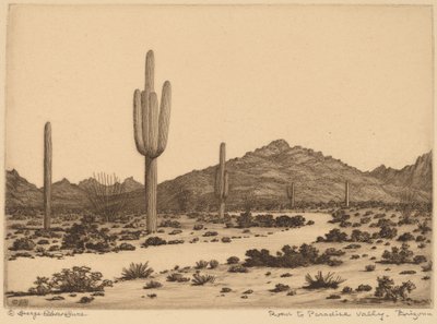 Strada per Paradise Valley, Arizona da George Elbert Burr