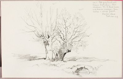 Roche Vaud da George Elbert Burr