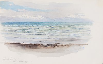 Riva di Pwllheli, Galles settentrionale da George Elbert Burr