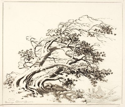 Schizzo per Pini al vento, Estes Park da George Elbert Burr