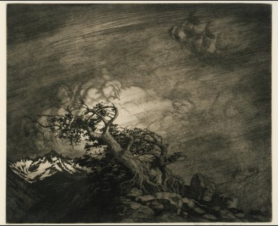 Tempesta vicino a Timberline da George Elbert Burr