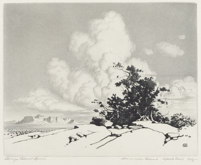 Nuvola estiva, Apache Trail, Arizona da George Elbert Burr