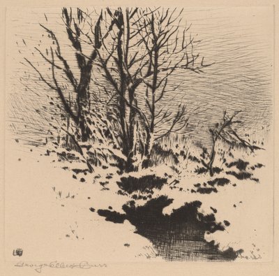 La prima neve (n.2) da George Elbert Burr