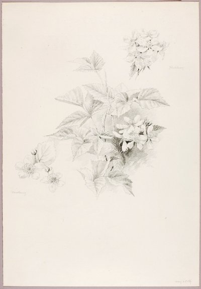 Senza titolo (Mora e Mora) da George Elbert Burr