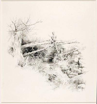 Senza titolo (Ruscello di bosco) da George Elbert Burr