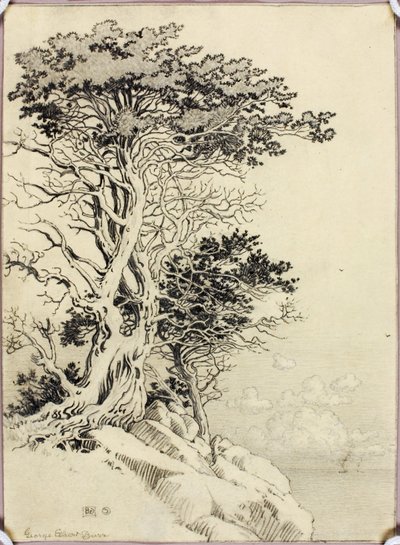Senza titolo (disegno per la stampa) da George Elbert Burr