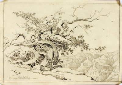 Senza titolo (disegno da trasferimento per Sera, Apache Trail, Arizona) da George Elbert Burr