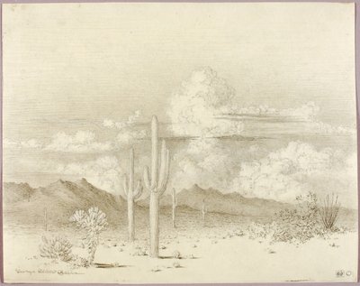Senza titolo (disegno di trasferimento per Sera, Paradise Valley, Arizona) da George Elbert Burr