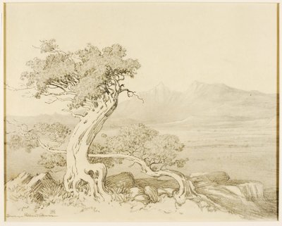 Senza titolo (disegno di trasferimento per Old Cedars e Spanish Peaks) da George Elbert Burr