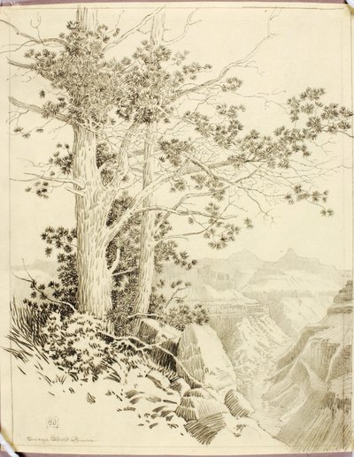 Senza titolo (disegno di trasferimento per stampa) da George Elbert Burr