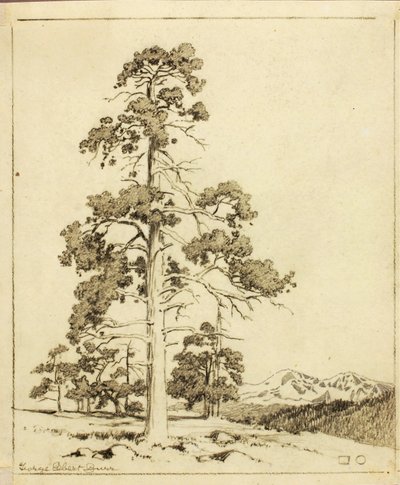 Senza titolo (disegno di trasferimento per stampa) da George Elbert Burr