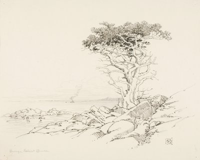 Senza titolo da George Elbert Burr