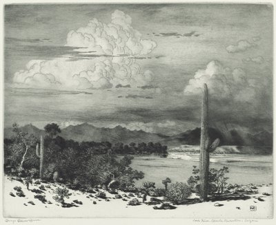 Fiume Verde, Riserva Apache, Arizona da George Elbert Burr