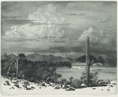 Fiume Verde, Arizona da George Elbert Burr