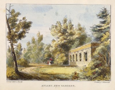 Voliera, Kew Gardens, tavola 10 da Kew Gardens: Una serie di ventiquattro disegni su pietra, incisa da Charles Hullmandel da George Ernest after Papendiek