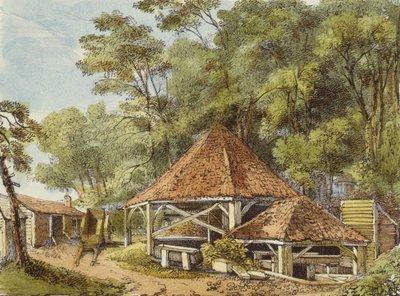 Opere idrauliche, Kew Gardens, tavola 22 da Kew Gardens: Una serie di ventiquattro disegni su pietra, incisa da Charles Hullmandel da George Ernest after Papendiek