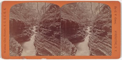 Paesaggio di Watkins Glen, Shadow Gorge da George F. Gates