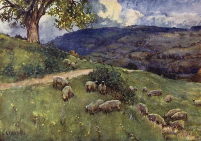 Un pascolo di pecore dei Cotswold da George Franck Nicholls