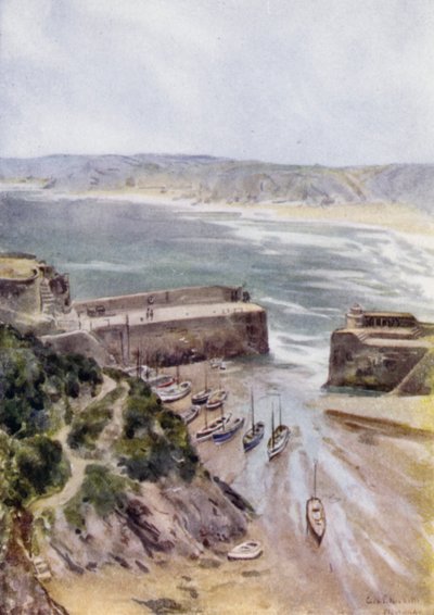 Newquay da George Franck Nicholls