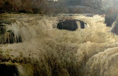 Salto del salmone, Cenarth Falls, Cardiganshire, Galles da George Frank Miles