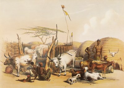 Un kraal Zulu sul fiume Umgaki a Natal da George French Angas