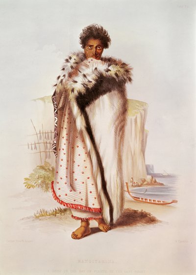 Rangitakina, un capo della Baia di Plenty sulla costa orientale, illustrazione da New Zealand Illustrated, incisa da W. Hawkins da George French Angas