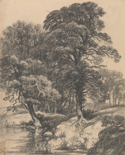 Paesaggio boschivo con piscina da George Frost