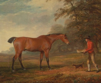Un cavallo baio avvicinato da un ragazzo di scuderia con cibo e cavezza da George Garrard