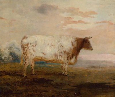 Giunone, una mucca a corna corte rossa in un paesaggio esteso da George Garrard