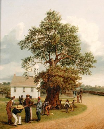 La quercia dell