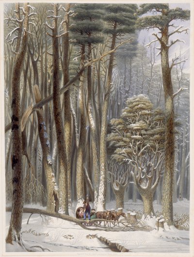 Inverno, viaggiatori ostacolati in una foresta di pini, da Scene della foresta primitiva d