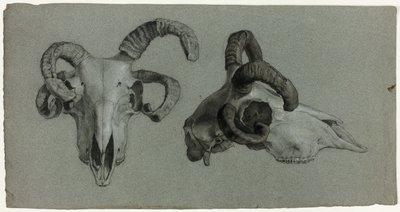 Teschi di arieti da George Hayter