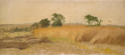 Studio di un campo di grano, metà XIX secolo da George Heming Mason