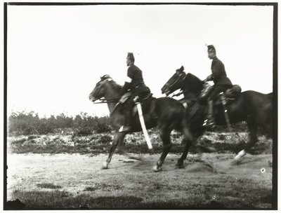 Cavalieri gialli dell