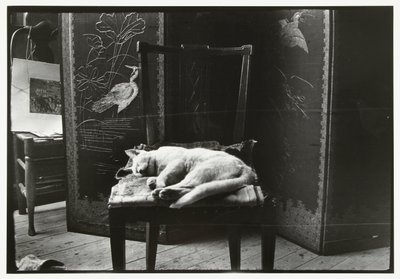 Gatto su una sedia nello studio di Breitner ad Amsterdam da George Hendrik Breitner