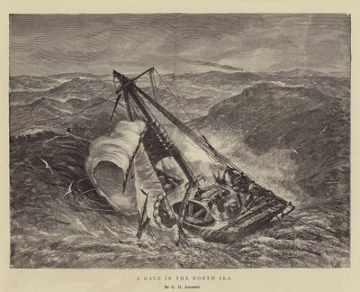 Tempesta nel Mare del Nord da George Henry Andrews