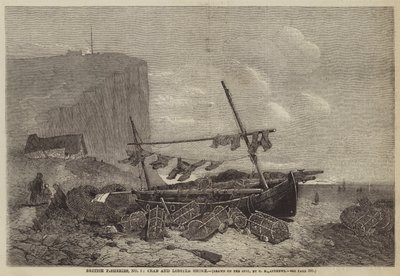 Pescherie britanniche, n. 5, costa dei granchi e delle aragoste da George Henry Andrews