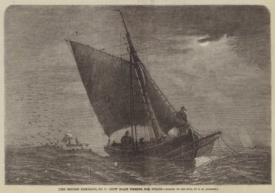 Le pescherie britanniche, n. 3, barche di stoccaggio che pescano spratti da George Henry Andrews