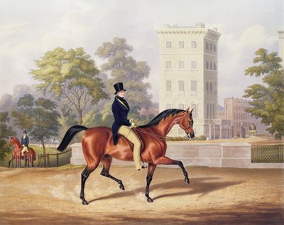 Il marchese di Anglesea a cavallo a Hyde Park, nel suo 80º anno, inciso da J. Harris, 1847 da George Henry Laporte