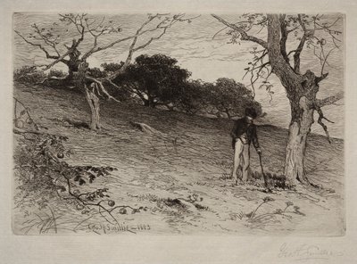 Paesaggio, 1883 da George Henry Smillie