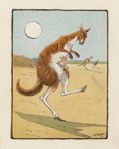 Il canguro da George Henry Thompson